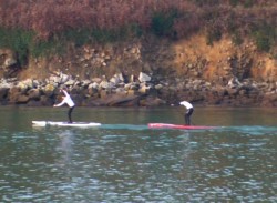 Howzit Cold Water Stand Up Paddle Race (FRANCE)