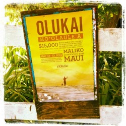 OluKai Ho’olaule’a stand up paddle race