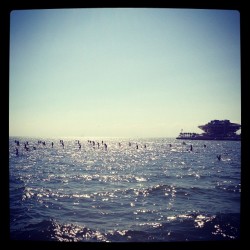 Water Monkey Challenge Stand Up Paddle race