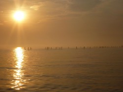 Cape Cod Bay Challenge