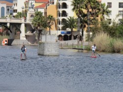 SUP racing in South Africa - 200m sprint challenge