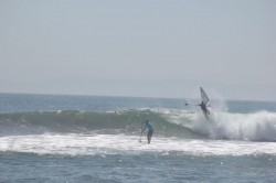 Surf Race To Victory 2012