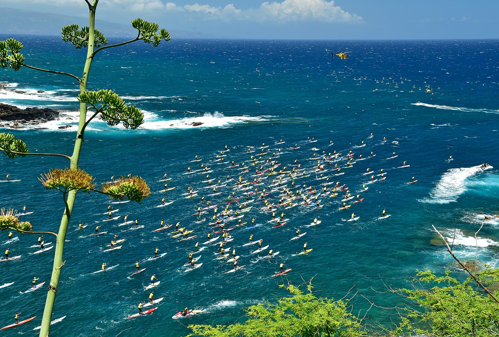 OluKai paddle race Maui