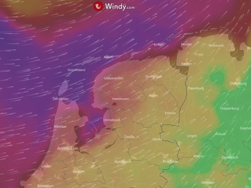 Gale force winds hammering the Netherlands today (screengrab from windy.com)